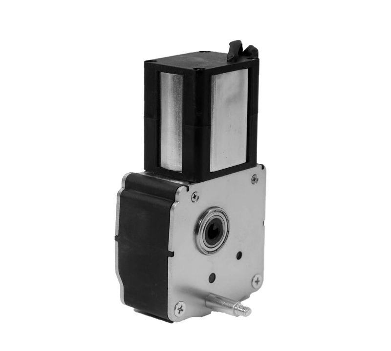 DW-450- II Motor